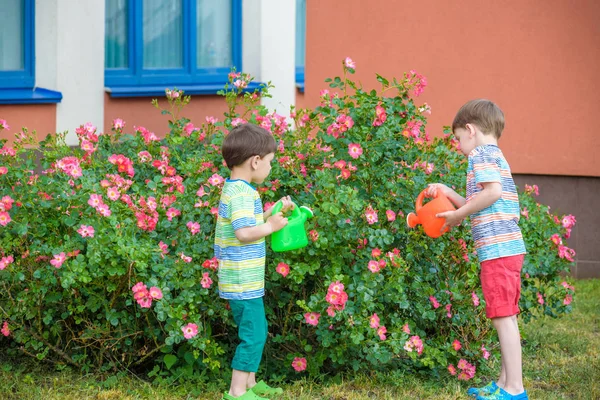 Dos niños regando rosas con lata en el jardín. Familia, jardín, jardinería, estilo de vida — Foto de Stock