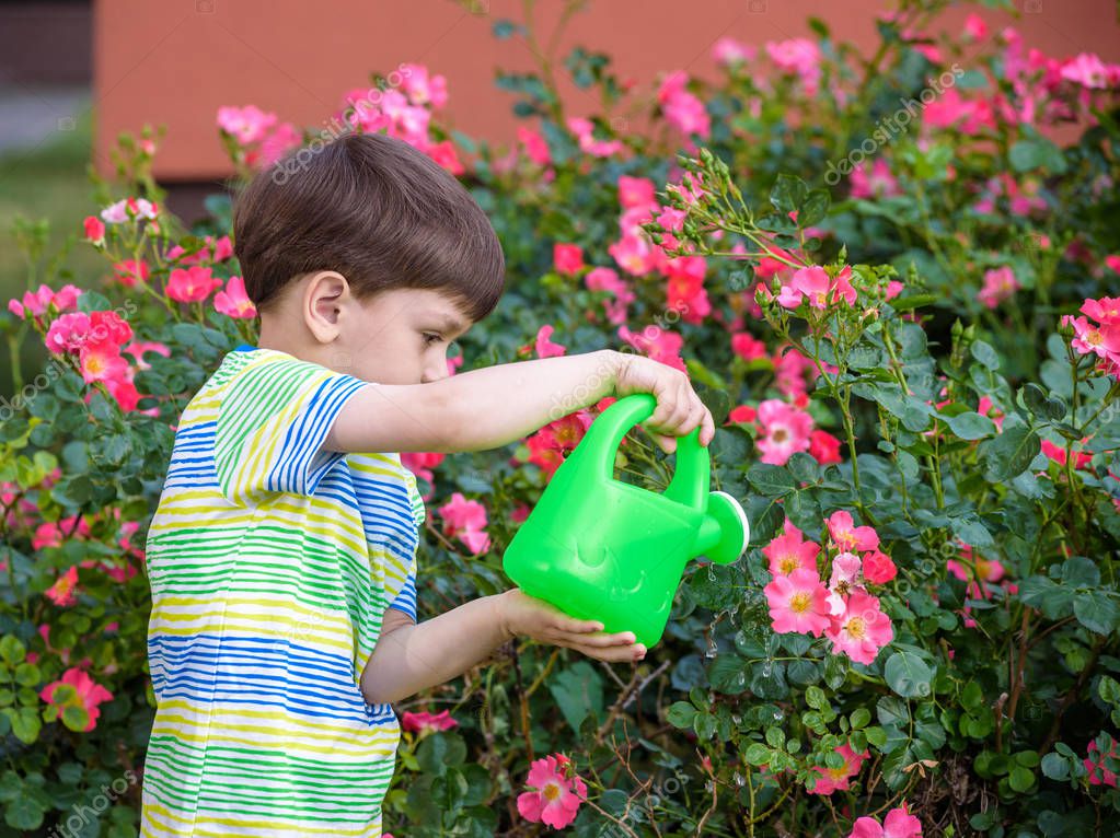 Cute little boy watering plants with watering can in the