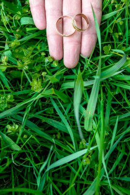 Nikah yüzükleri yeşil zemin üzerine