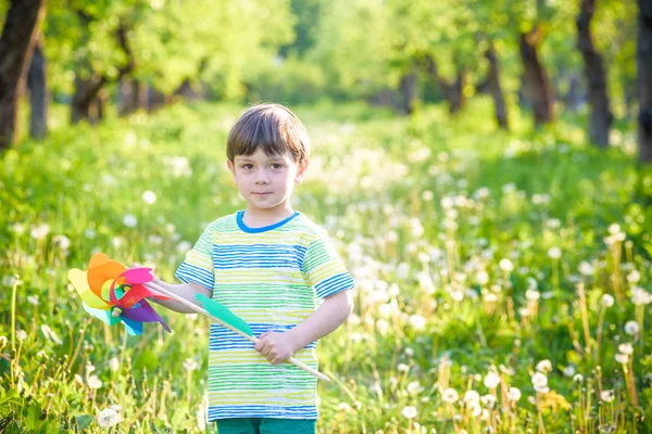 Портрет щасливого милого маленького хлопчика, що тримає коліщатко в парку — стокове фото