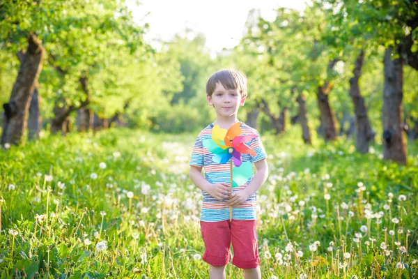 Портрет счастливого маленького мальчика, держащего вертушку в парке — стоковое фото