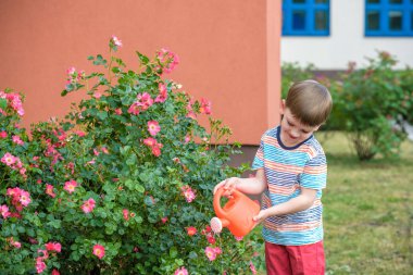 Sevimli küçük çocuk sulama tesisleri ile bahçede sulama olabilir. Çocuklar açık havada etkinliklerle.