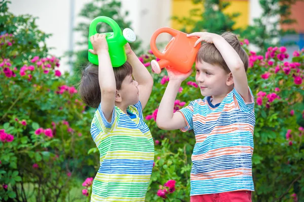 İki küçük gül bahçesinde olan sulama çocuklar çocuk. Aile, Bahçe Bahçe, yaşam tarzı,