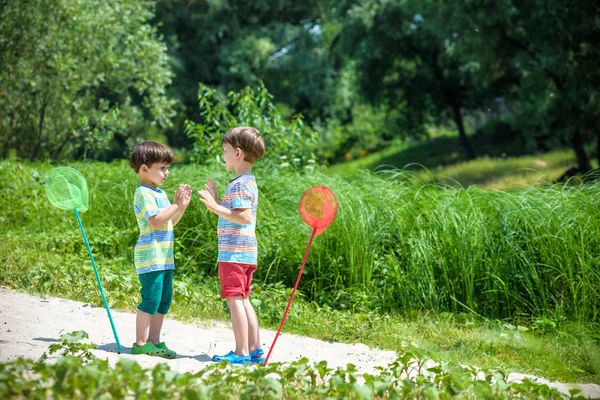 Two little sibling brothers playing with scoop-net on the meadow on warm and sunny summer or spring day — Stock Photo, Image