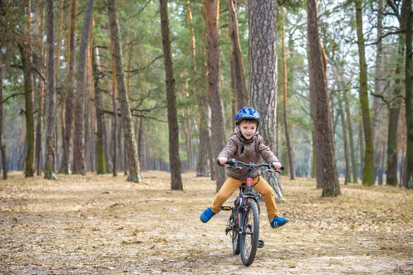 Having oyunculuk ile sonbahar ormandaki 3 veya 5 yıllık mutlu bir çocukluk oğlan bir