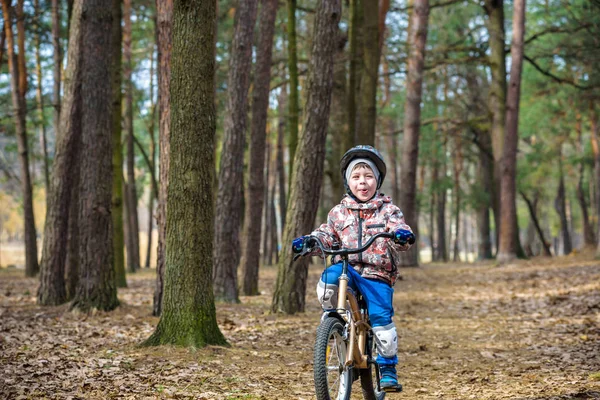 Szczęśliwy chłopiec 3 lub 5 lat, zabawy w lesie jesienią, z — Zdjęcie stockowe