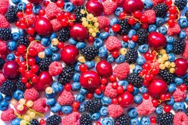 Yaz meyve ve çilek. ham organik çiftçi meyveler - 6 tip ahududu böğürtlen yaban mersini çilek kırmızı kuş üzümü bektaşi.