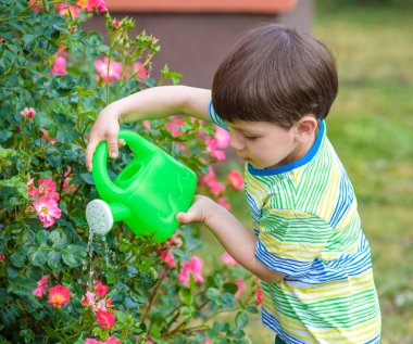 Sevimli küçük çocuk sulama tesisleri ile bahçede sulama olabilir. Çocuklar açık havada etkinliklerle.