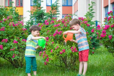 İki küçük gül bahçesinde olan sulama çocuklar çocuk. Aile, Bahçe Bahçe, yaşam tarzı,
