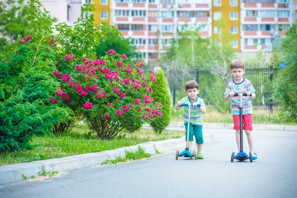 Двоє маленьких хлопчиків катаються на скутері в літньому парку. Посміхаючись і дивлячись один на одного. Носіть футболки та штани. Приємний сонячний вечір — стокове фото