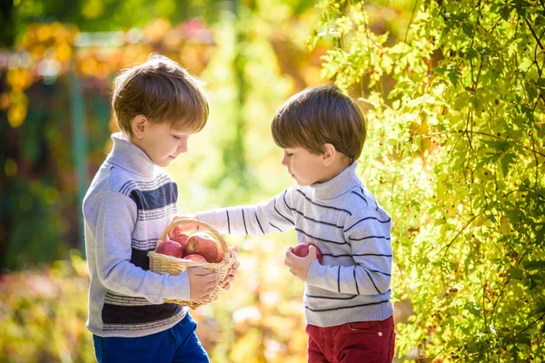 Dos niños encantadores de pie con una cesta con manzanas . — Foto de Stock