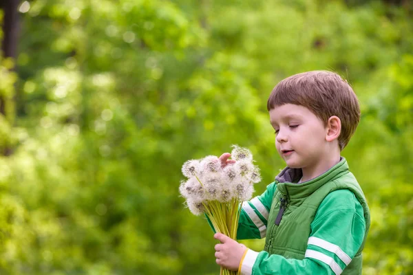 Забавна мила дитина хлопчик розважається з кульбабою квітка на теплі і — стокове фото