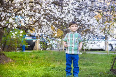 bahar zamanı yakınındaki çiçeği ağaç gülümseyen mutlu çocuk yürümeye başlayan çocuk
