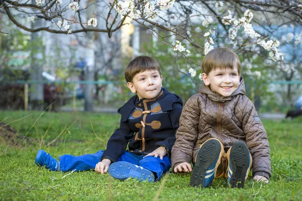 Felices hermanitos niños en el jardín de primavera con árboles florecientes , — Foto de Stock