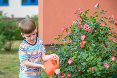 Sevimli küçük çocuk sulama tesisleri ile bahçede sulama olabilir. Çocuklar açık havada etkinliklerle.