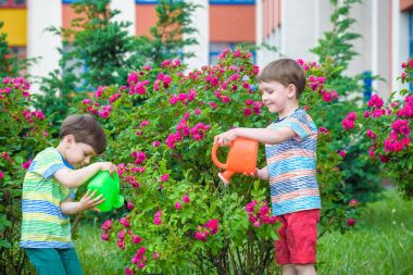 İki küçük gül bahçesinde olan sulama çocuklar çocuk. Aile, Bahçe Bahçe, yaşam tarzı,