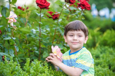 Gülümseyen ve bir Gül kokulu bir çocuk portresi.