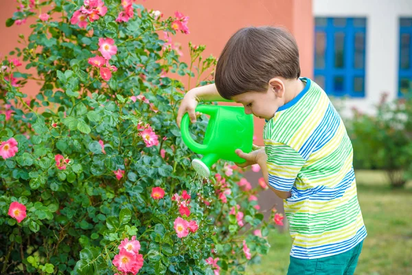 Милий маленький хлопчик поливає рослини водою в саду. Діяльність з дітьми на відкритому повітрі . — стокове фото