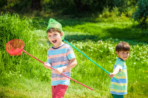 Two little sibling brothers playing with scoop-net on the meadow on warm and sunny summer or spring day — Stock Photo, Image