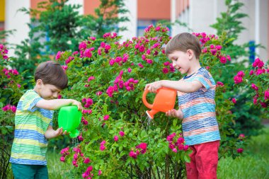İki küçük gül bahçesinde olan sulama çocuklar çocuk. Aile, Bahçe Bahçe, yaşam tarzı,