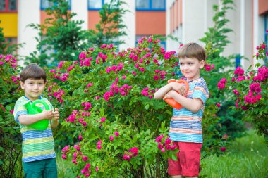 İki küçük gül bahçesinde olan sulama çocuklar çocuk. Aile, Bahçe Bahçe, yaşam tarzı,