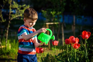 Lale güzel çiçek yatakta üzerinde yürüyen küçük çocuk 