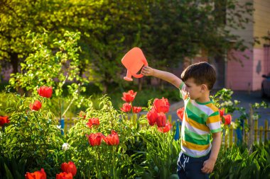 Lale güzel çiçek yatakta üzerinde yürüyen küçük çocuk 