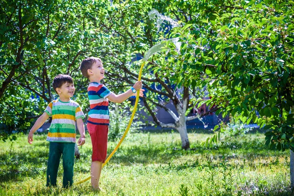 Niños jugando con aspersor de jardín. Niños en edad preescolar corren y —  Fotos de Stock