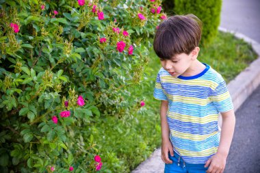 Küçük çocuğun açık havada oynayan çiçeklere alerjisi var. Sağlık hizmetleri kavramı.