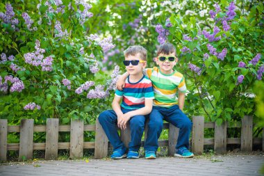 İki küçük kardeşin portresi, arka plandaki şehir ve park manzarasında günlük kıyafet ve güneş gözlüğü takan leylak çalılıklarında küçük çitlerde oturuyor. Mutlu çocukluk arkadaşlığı kavramı.