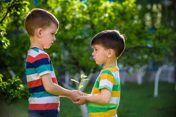 Menschen Kinder Geschwister Bruder Junge Hält Junge Pflanze Den Händen — Stockfoto