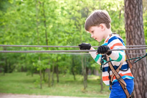 Cute Child Boy Playing Artworks Depict Games Eco Resort Which — Stock Photo, Image