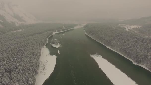 Der Fluss Katun im Altai, Luftaufnahme — Stockvideo