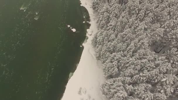 La rivière de montagne Katun dans l'Altaï, aérienne — Video