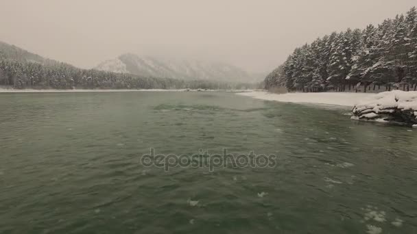 De berg rivier Katun in Altaj, luchtfoto — Stockvideo