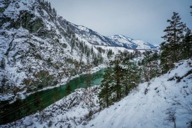Dağ nehir Katun, Altay, Rusya Federasyonu. Bir kış manzara.