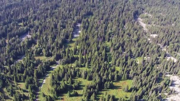 Vistas aéreas del Monte Iremel en los Urales del Sur — Vídeo de stock