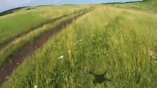 Flyg till drone på landsväg — Stockvideo