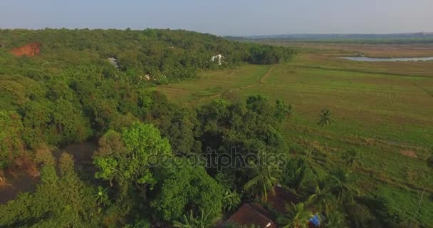 Landscape of Goa in the state, far from the sea. Aerial — Stock Video