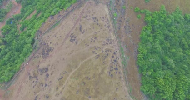Ruines du fort Chapora. État de Goa, Inde. Aérien 
