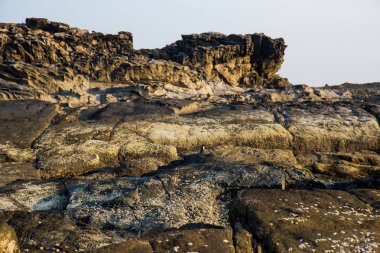 Arambol Hindistan'da kayalık sahilleri tatilinde dalgalar.