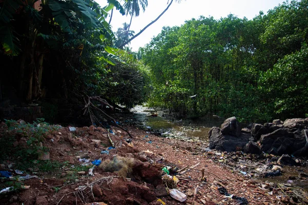 Een heleboel vuilnis op de rivier in het bos, India — Stockfoto