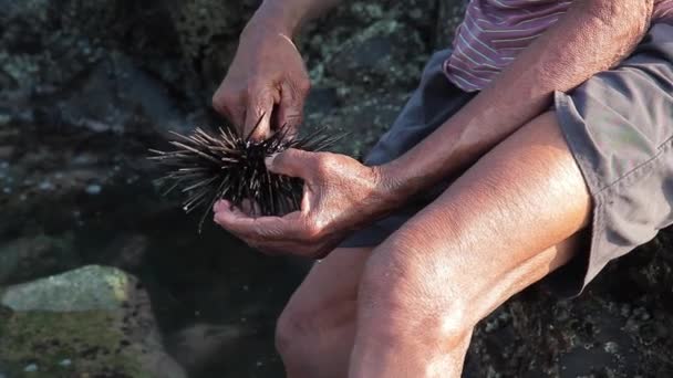 Stary człowiek pociąć jeżowce na plaży — Wideo stockowe