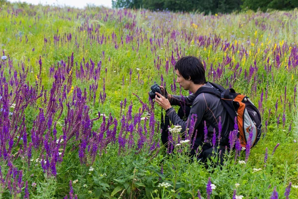 Man photographs of purple wild flowers