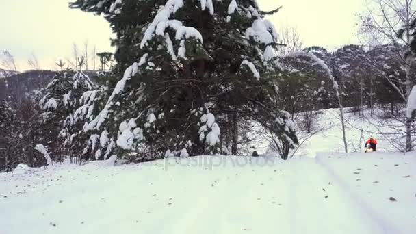 Человек едет и прыгает в заснеженном лесу на снегоходе — стоковое видео