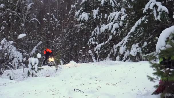 Homem montando e pulando nas florestas nevadas em uma moto de neve — Vídeo de Stock