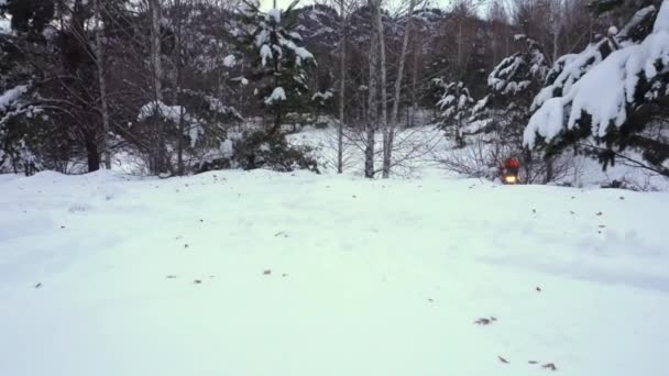 Mann reitet und springt im verschneiten Wald auf einem Schneemobil — Stockvideo