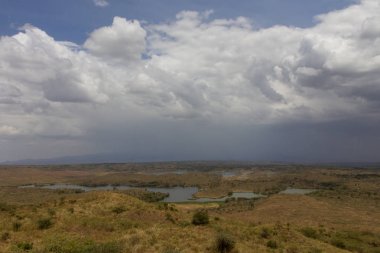Göl içinde safari Tanzanya