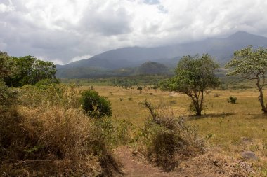 Göl içinde safari Tanzanya