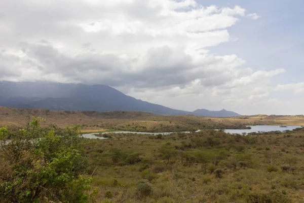 Озеро в сафарі в Танзанії — стокове фото